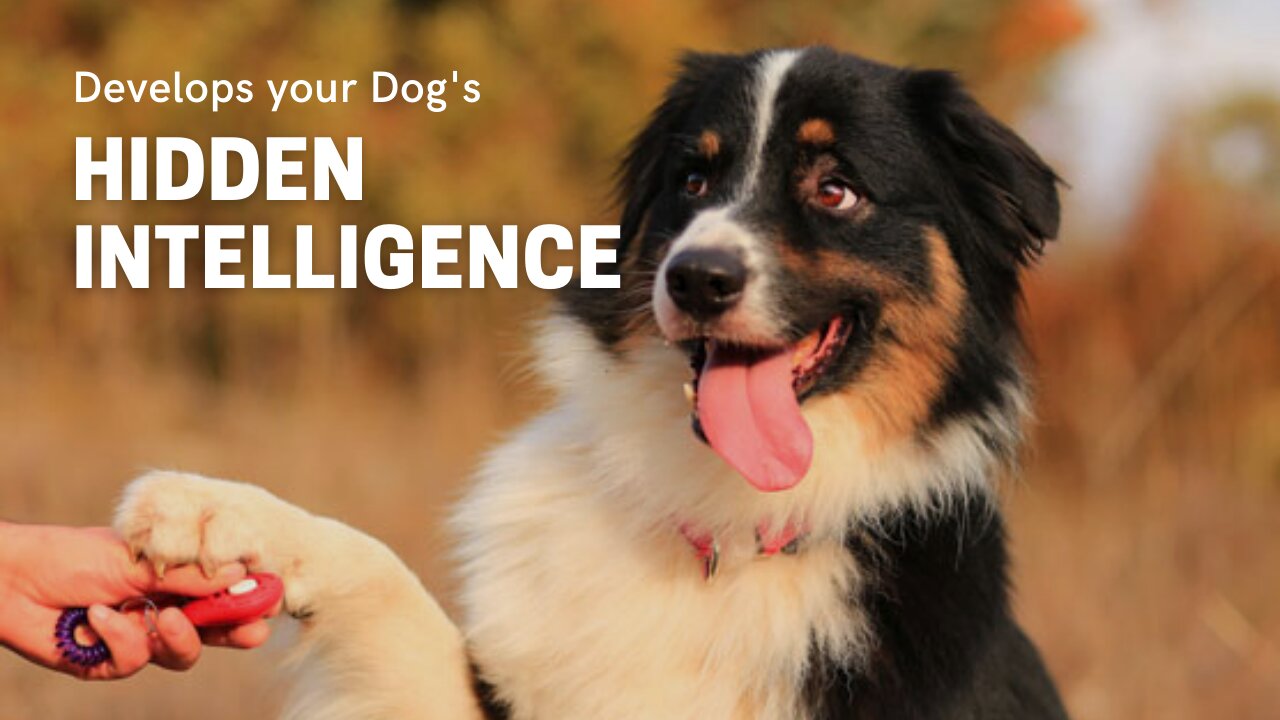 Guard Dog Training Step by Step Develops your Dog's "Hidden Intelligence"