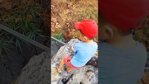 Creek Fun