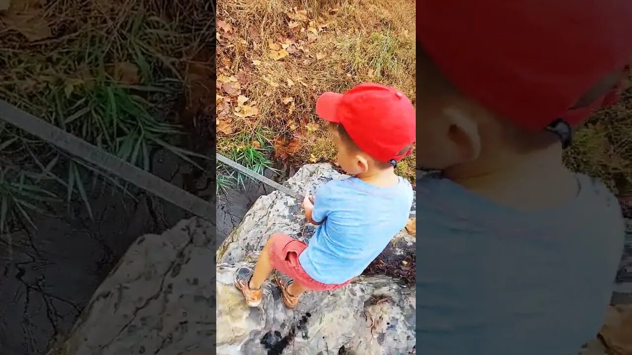 Creek Fun