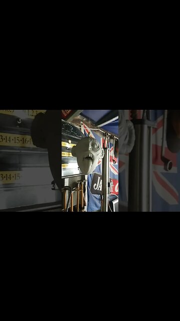 The things you see out my cave lol