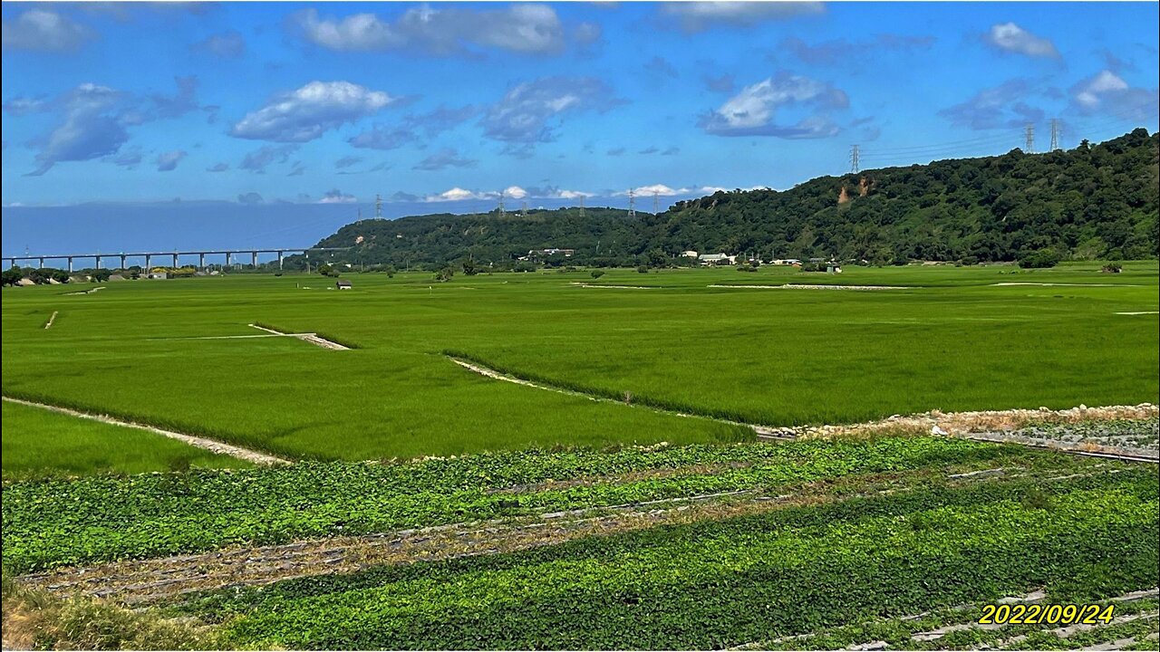 22_0924外埔 忘憂谷稻浪