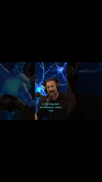 How do animals show dominance? Andrew Huberman and Joe Rogan #shorts