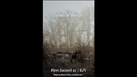 1 SAMUEL 21 | KJV