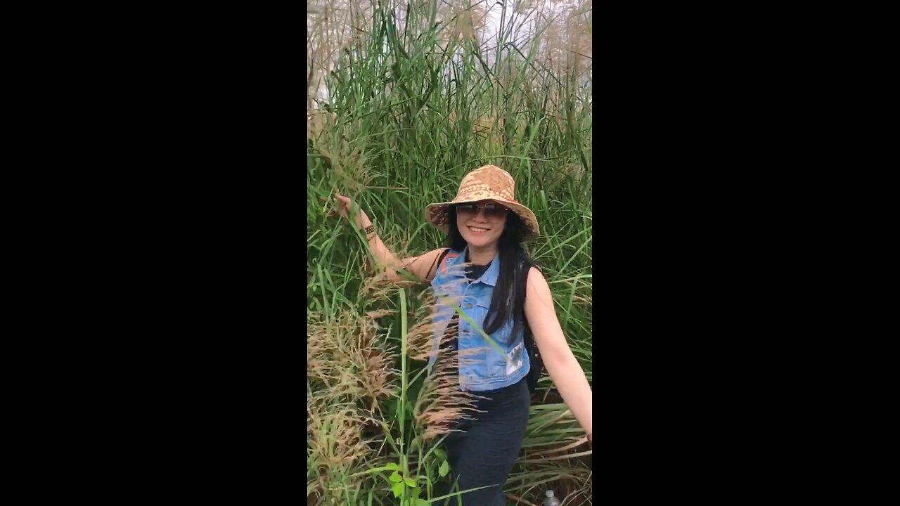 Rừng mây nước nở hoa