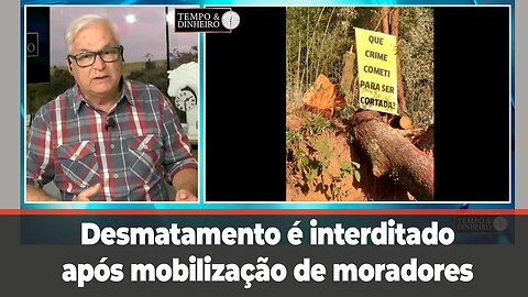 Crime Ambiental no interior de SP:desmatamento "oficial" é interditado após mobilização de moradores