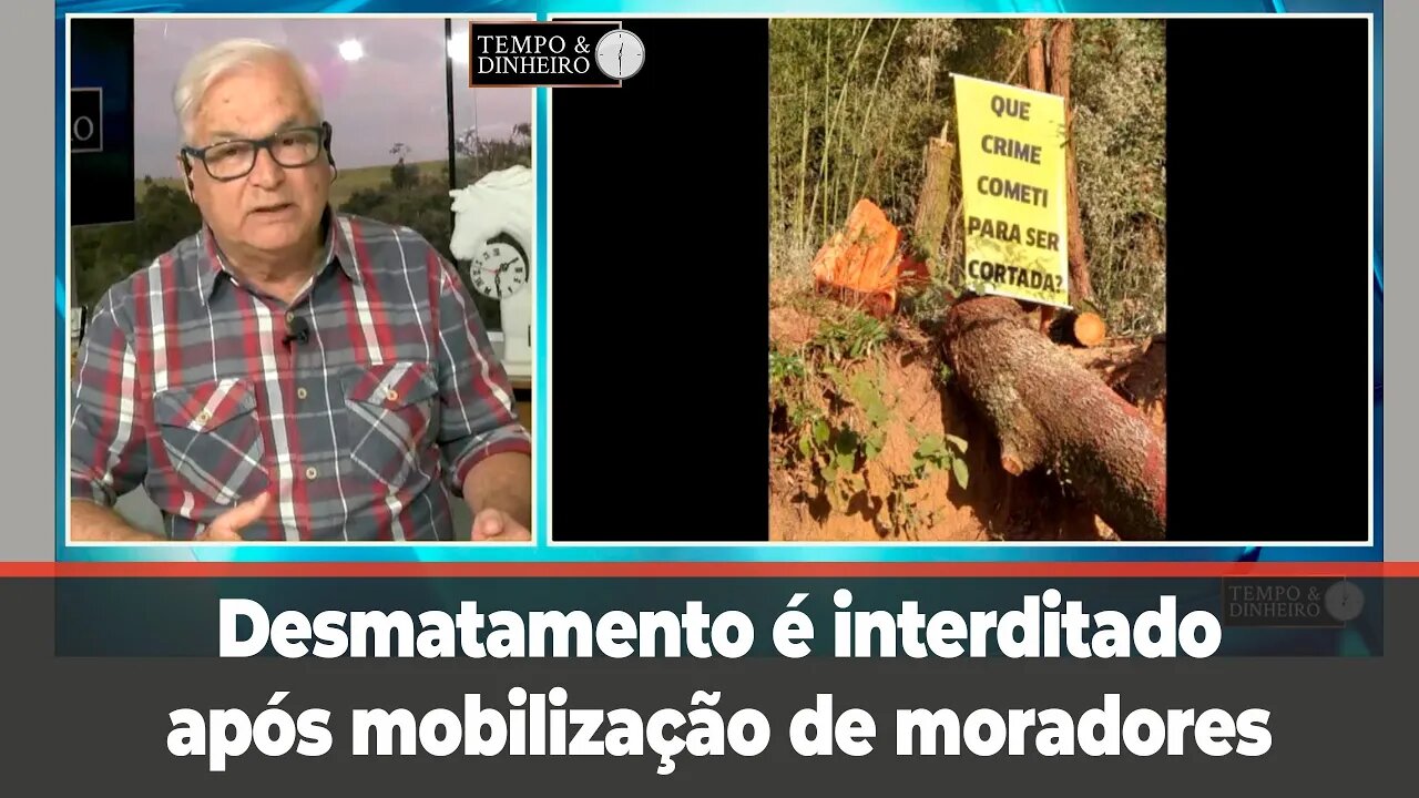 Crime Ambiental no interior de SP:desmatamento "oficial" é interditado após mobilização de moradores