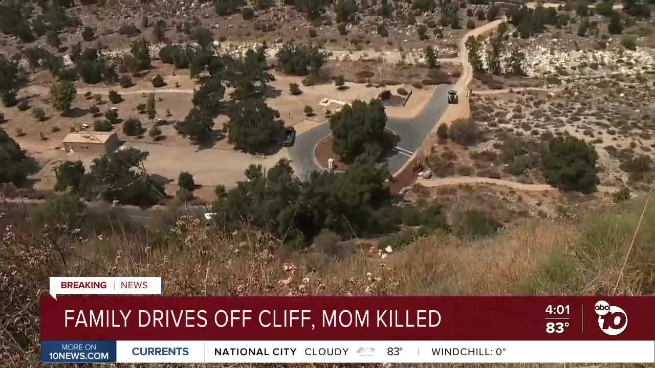 Family drives off cliff, mom killed