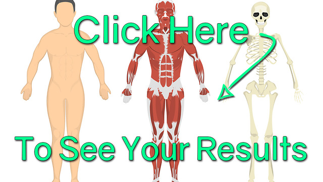 How Well Do You Know the Human Anatomy? Good Scores!