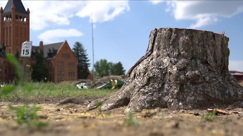 People gather outside Loretto Heights to grieve trees being cut down for development