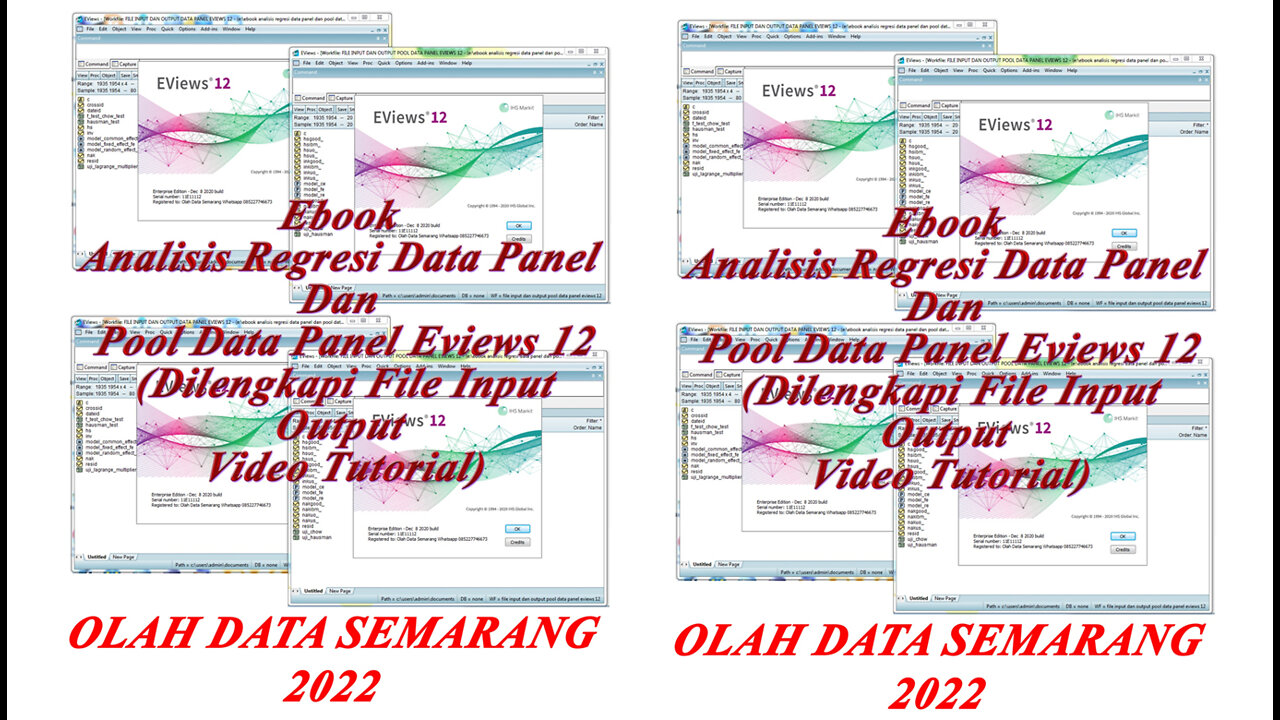 Ebook Analisis Regresi Data Panel Dan Pool Data Panel Eviews 12