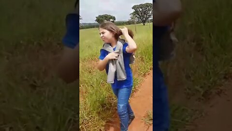 De repente tinha um grilo e uma traça