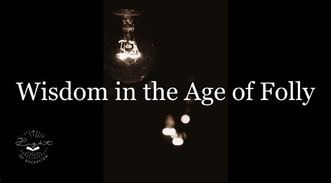 Wisdom in the Age of Folly | Danette Lane