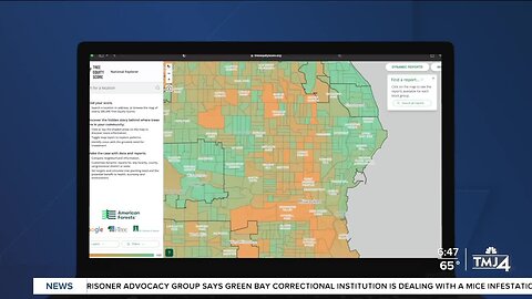 Milwaukee's Urban Forestry Fund will help you plant trees in your neighborhood