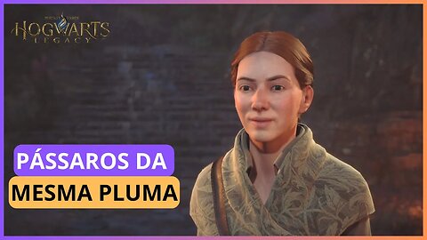 PÁSSAROS DA MESMA PLUMA | HOGWARTS LEGACY