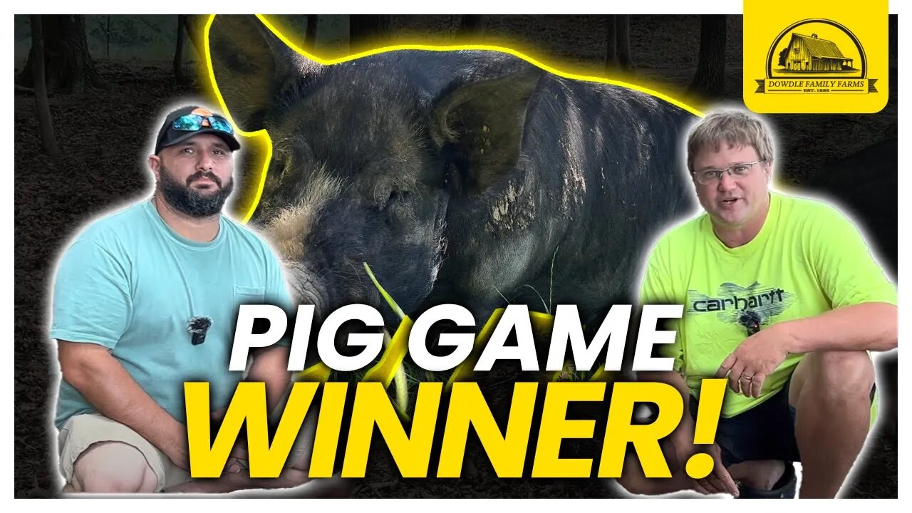 Who Won the Pig Naming Contest? What's His Name?