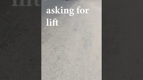 Asking for lift from Strangers #shorts #booshorts 1#love #follow #funny