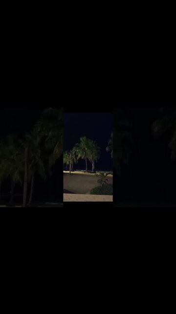 Mind relaxing music 🎶 #shorts