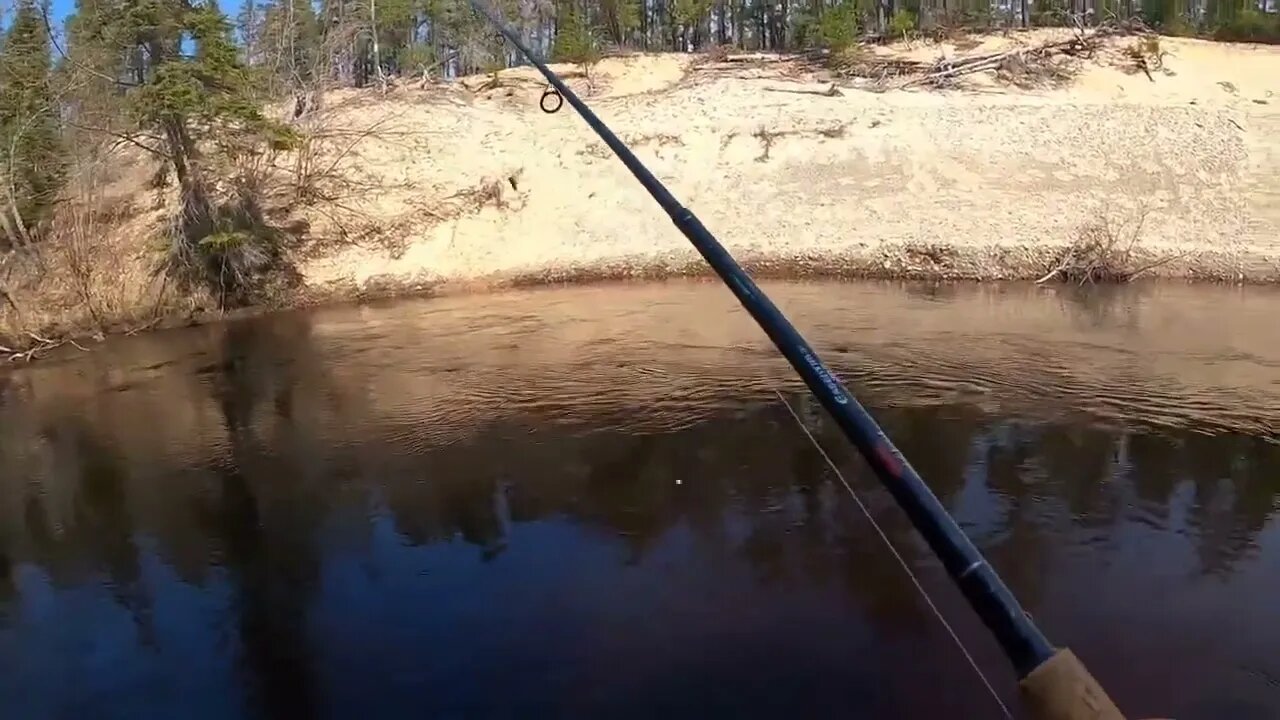 48-HOUR STEELHEAD Float Trip Catch & Cook __ Fishing for Steelhead Trout in Upper Peninsula MI % 13