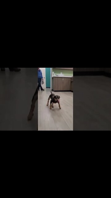 Happy Drumming Circle , #short