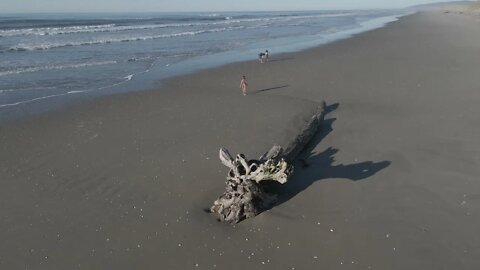 A day at the Beach