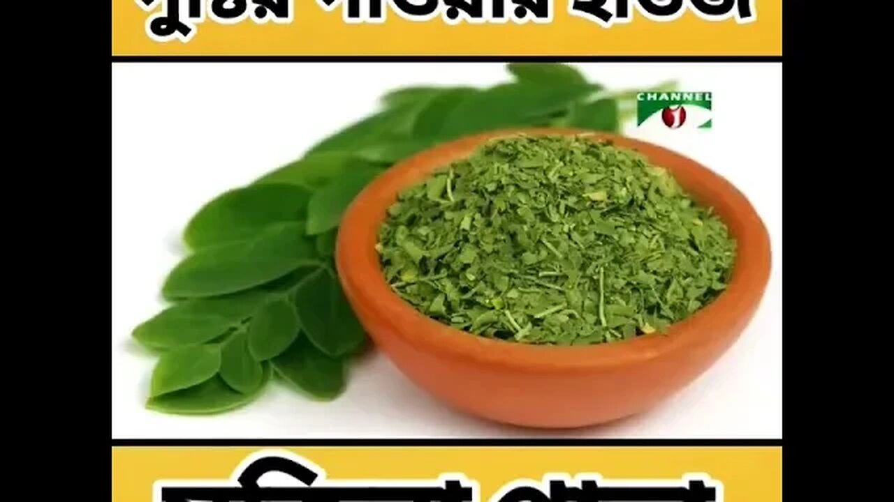 জানেন কি মরিংগা পাউডার (Moringa Powder) বা 🌿 সজিনা পাতা গুড়াকে সুপার ফুড বলা হয় #shorts #ytshorts