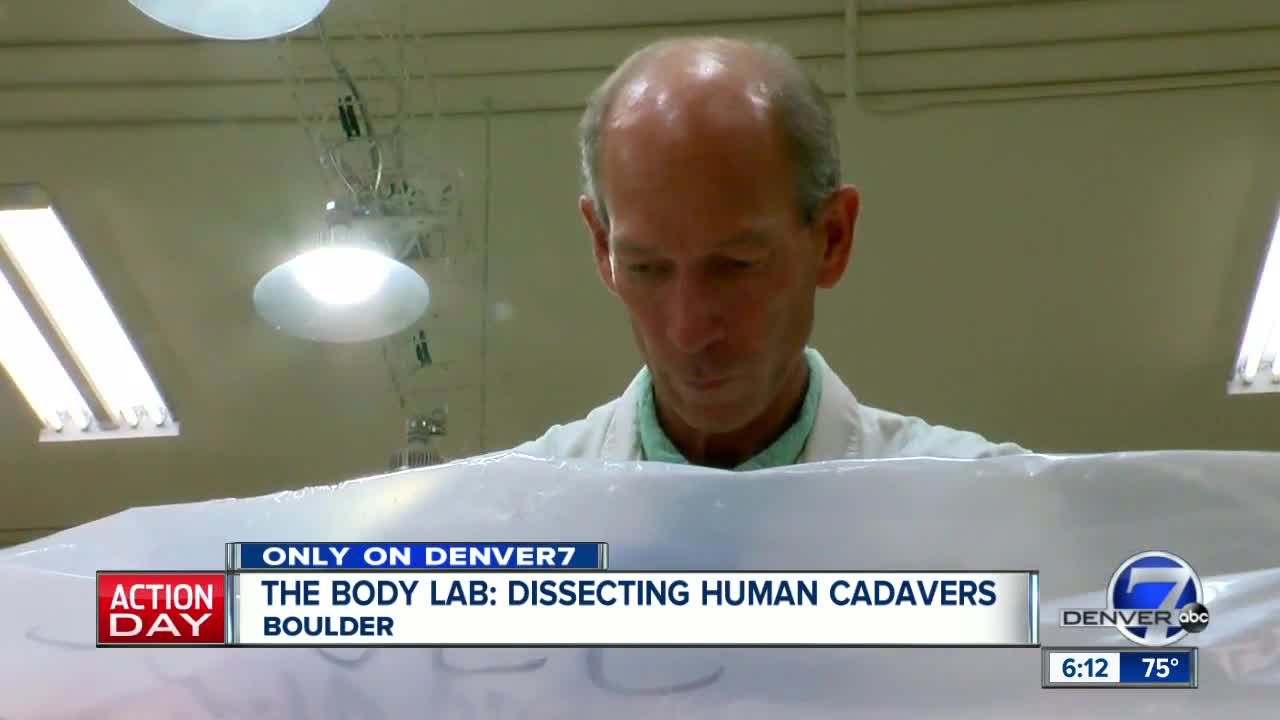 The Body Lab: Boulder company offers cadaver dissection classes to public