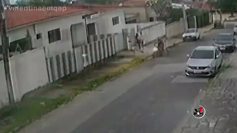 'Cão policial' morde suspeito e impede assalto a residência em João Pessoa