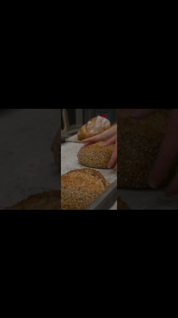 🌾 seeded multigrain sourdough #shorts