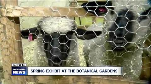 Buffalo and Erie County Botanical Garden welcomes spring