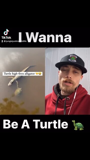It’s Official Skwad I Wanna Be A Turtle!!!