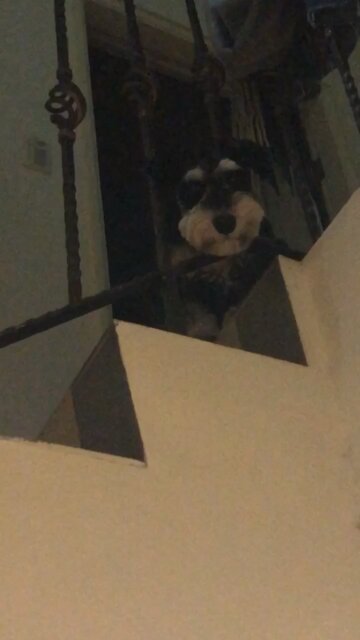 What are you watching!