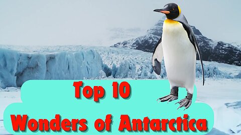 Top 10 Must-See Wonders of Antarctica: Icebergs, Wildlife & More