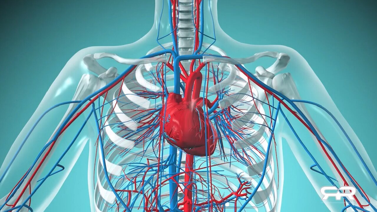 The🔎Mysterious🔎Human💖Heart👀🙏✝️