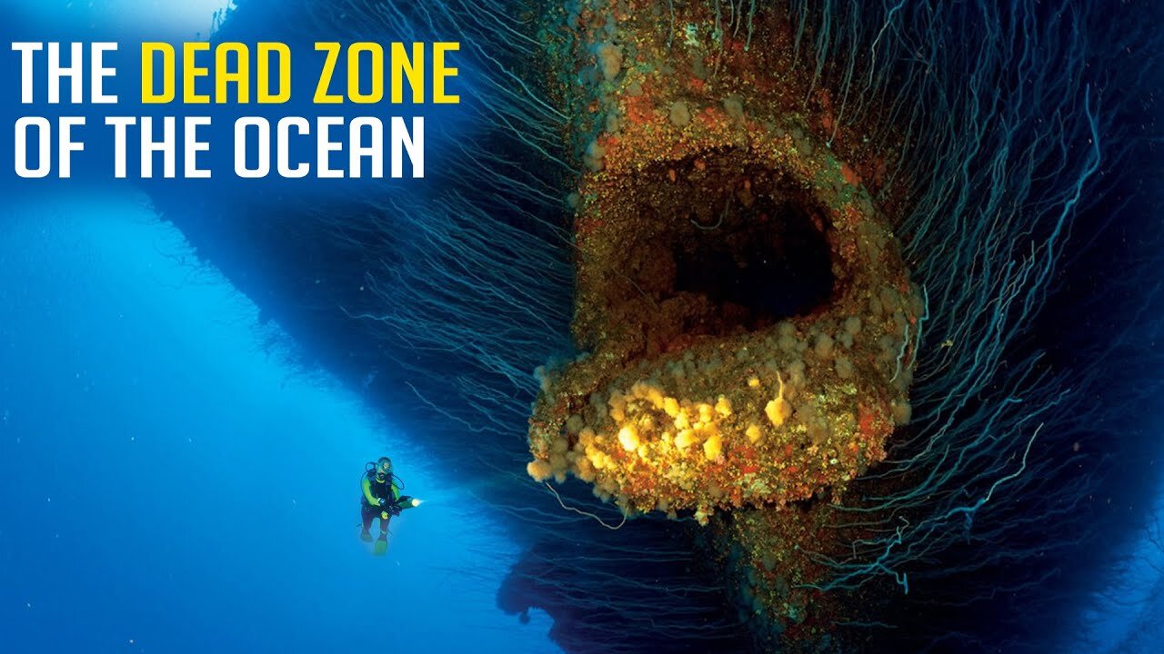 Who Lives In The Dead Zone Of The Ocean?