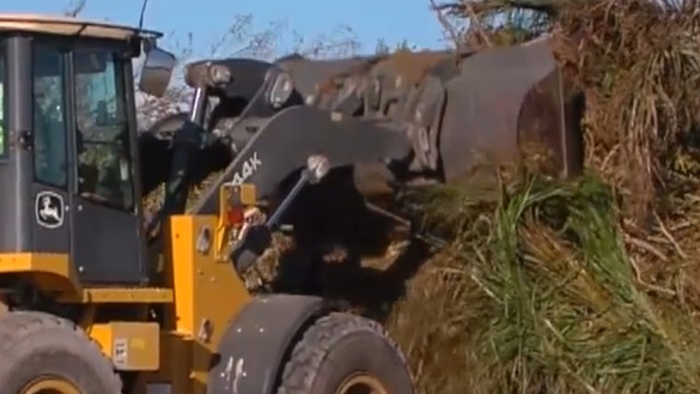 Piles of debris picked up in Palm Beach County as king tide poses new threat