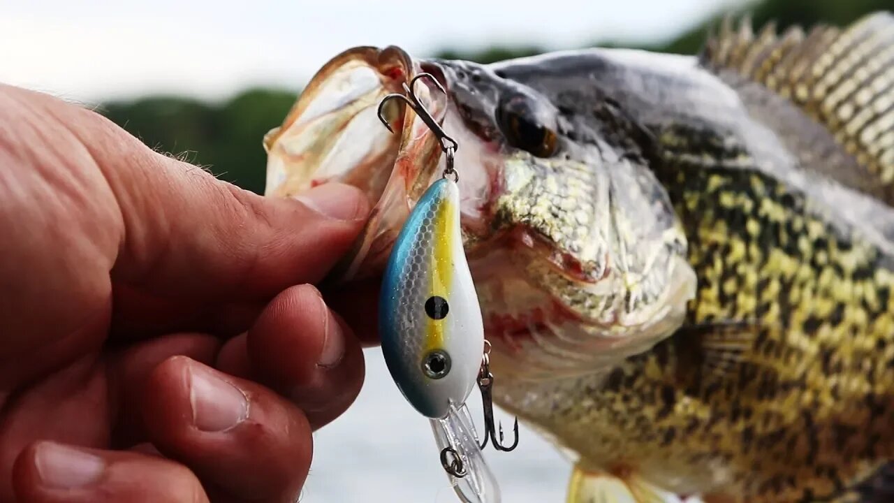 This MICRO Crankbait is AWESOME for Crappie | TINY Lure CHALLENGE