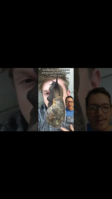 Giant Snails TAKING OVER Florida??