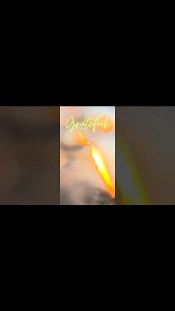 Thank you for being you. #fyp #youtubeshorts #grateful #miracle