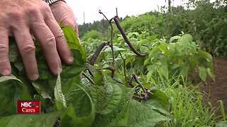 Share the Bounty tables help those in need eat healthier in Shawano County