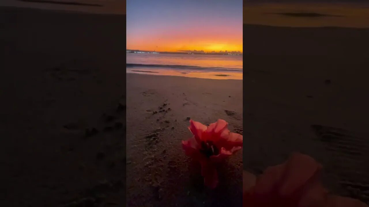 Bom dia! 🌞