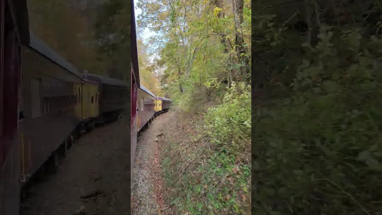 Fall Colors From The Great Smoky Mountains Railroad! - Part 11