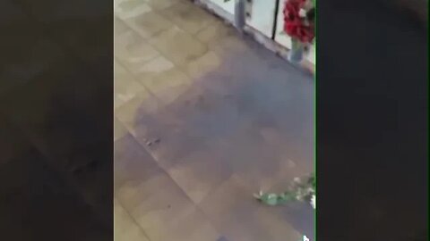 ESPÍRITO SE MANIFESTA EM CEMITÉRIO #shorts #sobrenatural