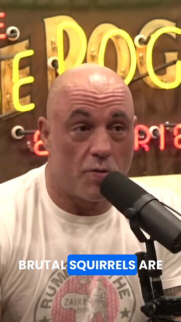 Injustice: Euthanizing Squirrels #joerogan #dog #squirrel