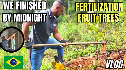 Our Homestead Journey continues | Fertilizing Fruit Trees | Homestead From Scratch