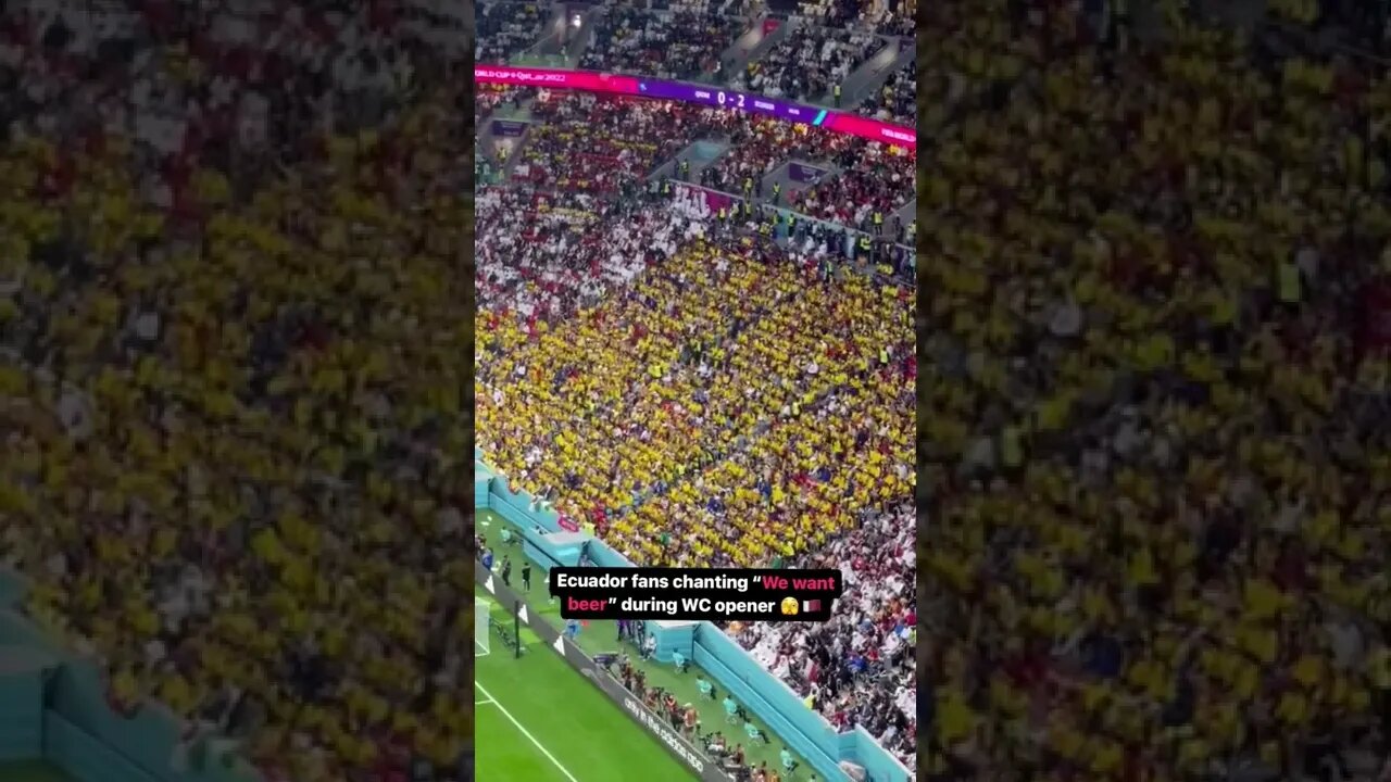 Ecuador Fans Just Want Beer #shorts