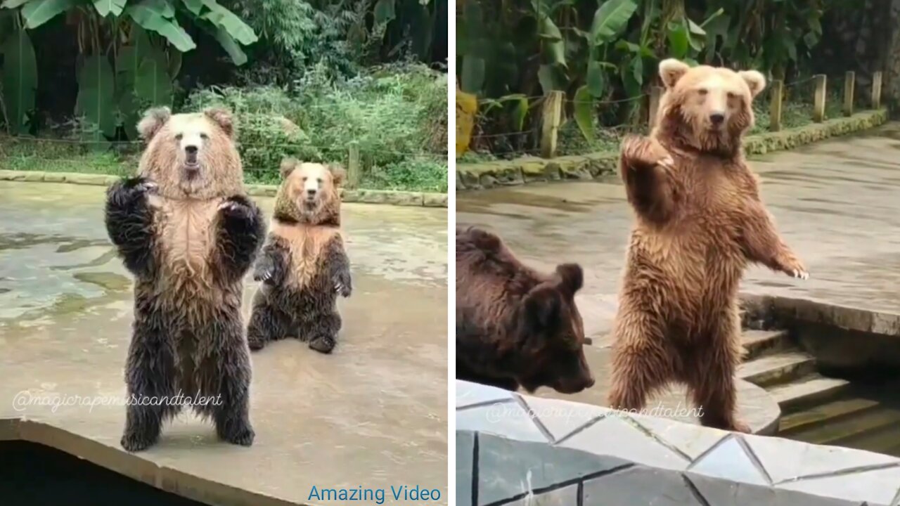 When you click on this video then I am sure this video will not disappoint you,