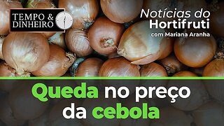 Confira as cotações para terça-feira