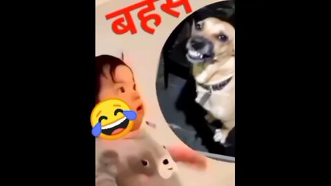 Cutypie