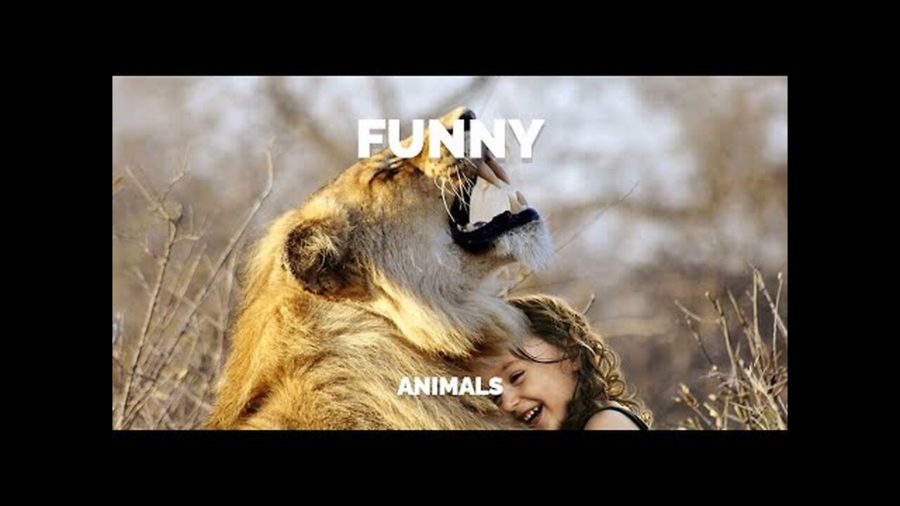 New Funny animal videos 2024 №15