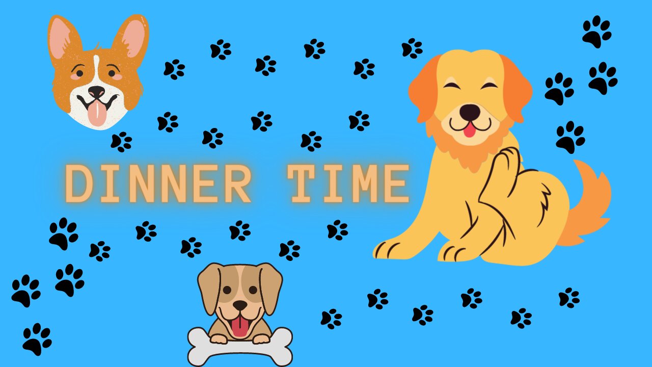 See the dinner time of these cute puppies